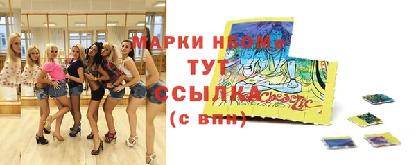 индика Балахна