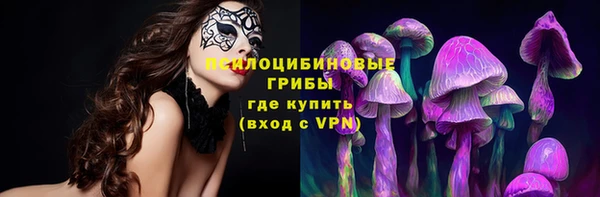 индика Балахна