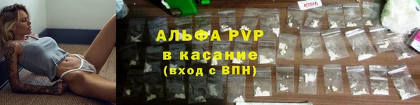 эйфоретик Баксан