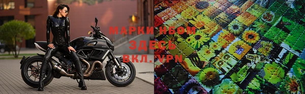 индика Балахна