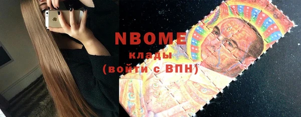 индика Балахна